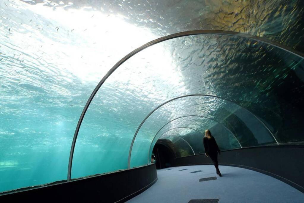La Perle Marine :Boulogne Sur Mer Екстериор снимка