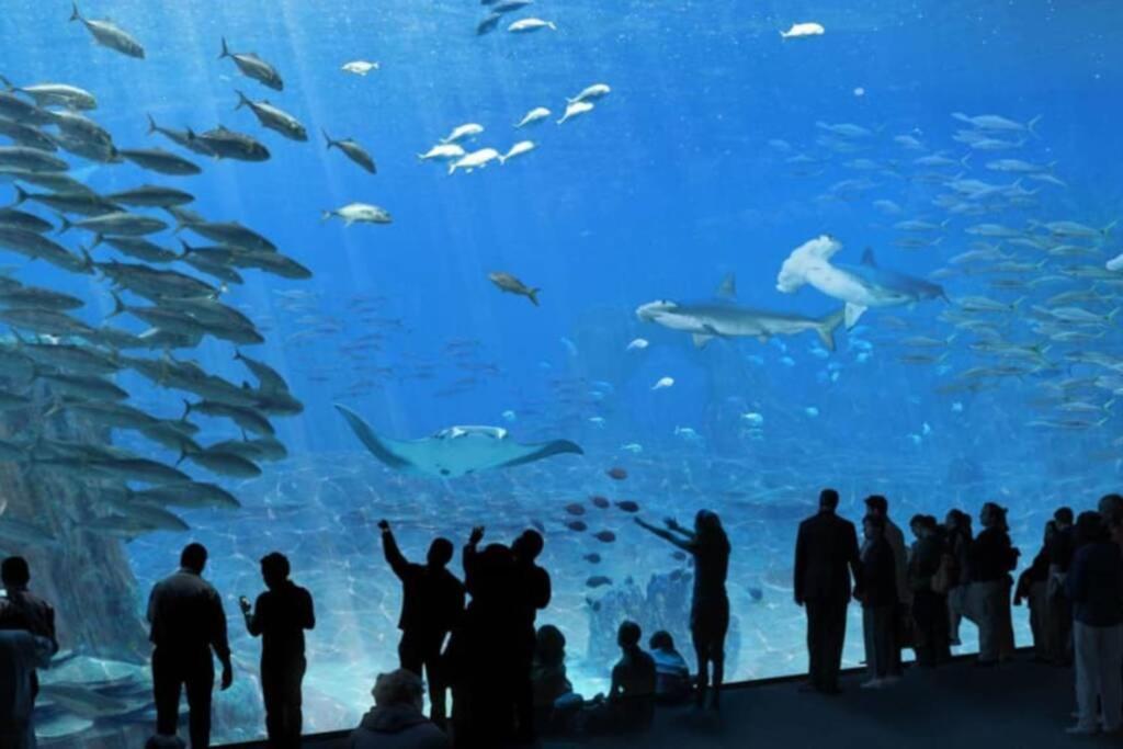 La Perle Marine :Boulogne Sur Mer Екстериор снимка